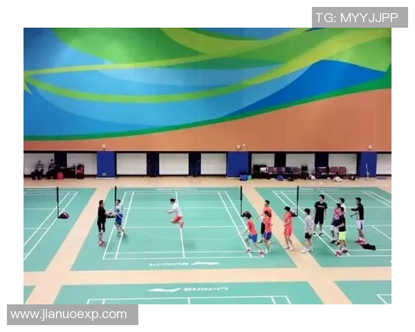 北京羽毛球队的节奏革新探索与实践之路全景分析